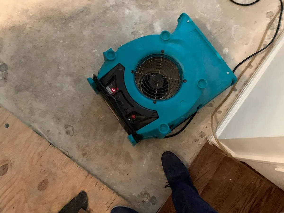 Air mover drying subfloor during Commercial Water Damage Restoration in Sheffield